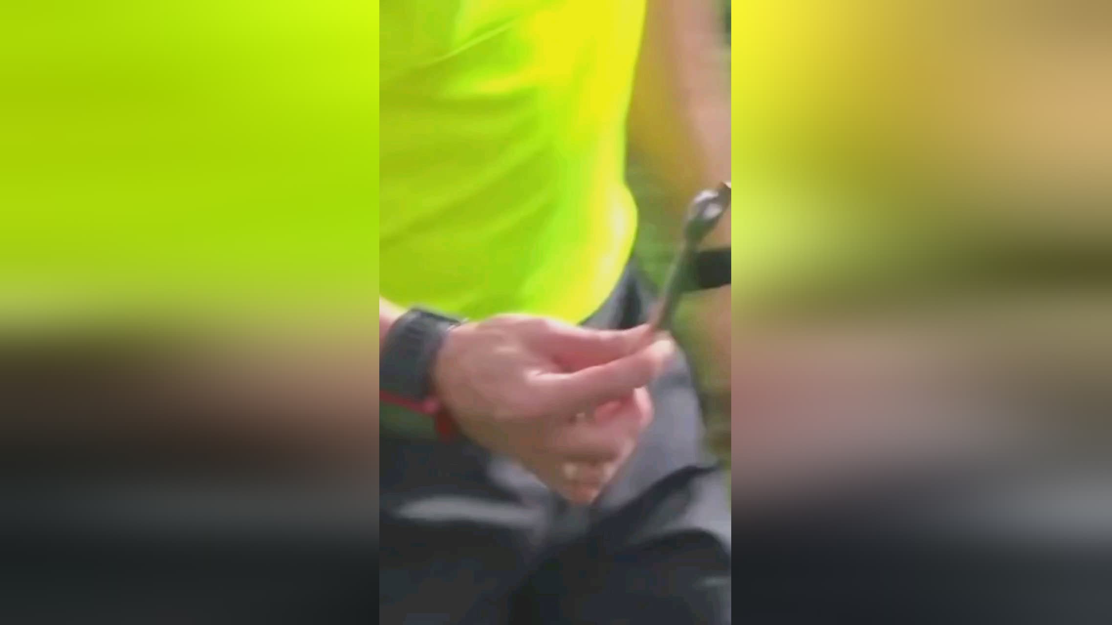 美欧洲